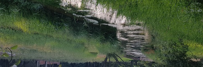 Watercress and Winterbournes