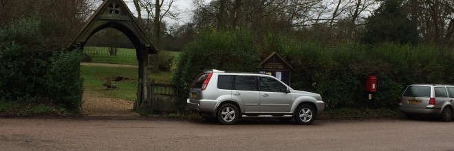 Coppicing of church hedgerow