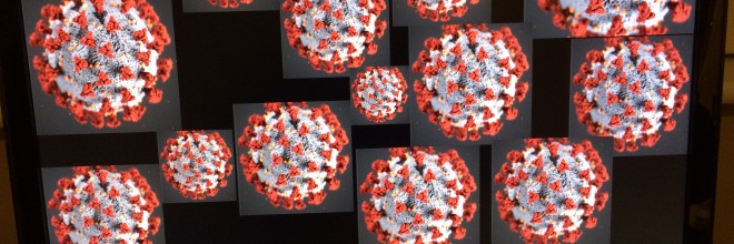 Rapid rise in new cases of coronavirus in January