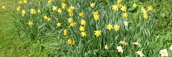 Candover Valley Gardening Club